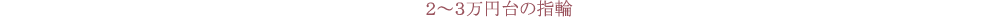 2~3万円台の指輪