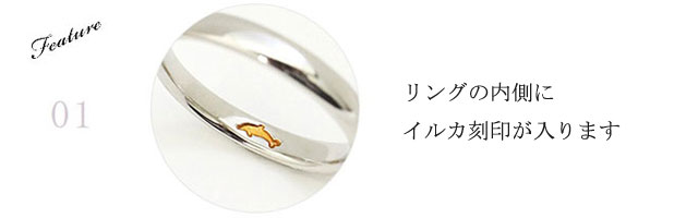 ピンクドルフィンの魅力ポイント