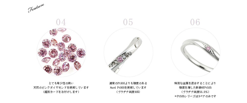 ピンクドルフィンの魅力ポイント
