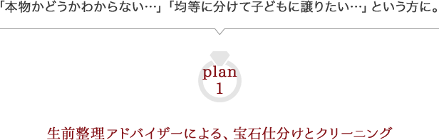 生前整理アドバイザーによる、宝石仕分けとクリーニング